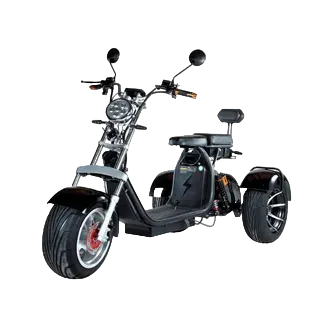 TRIKE PRO 12